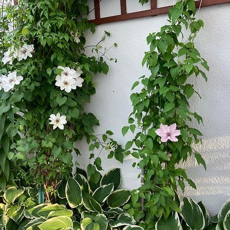 Casa Blanca Apartman Jastarnia Kültér fotó