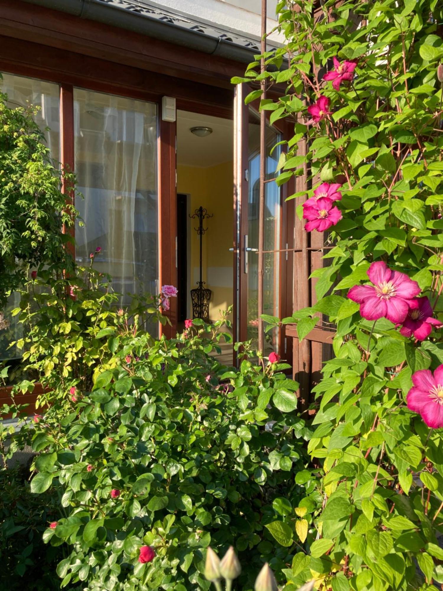 Casa Blanca Apartman Jastarnia Kültér fotó