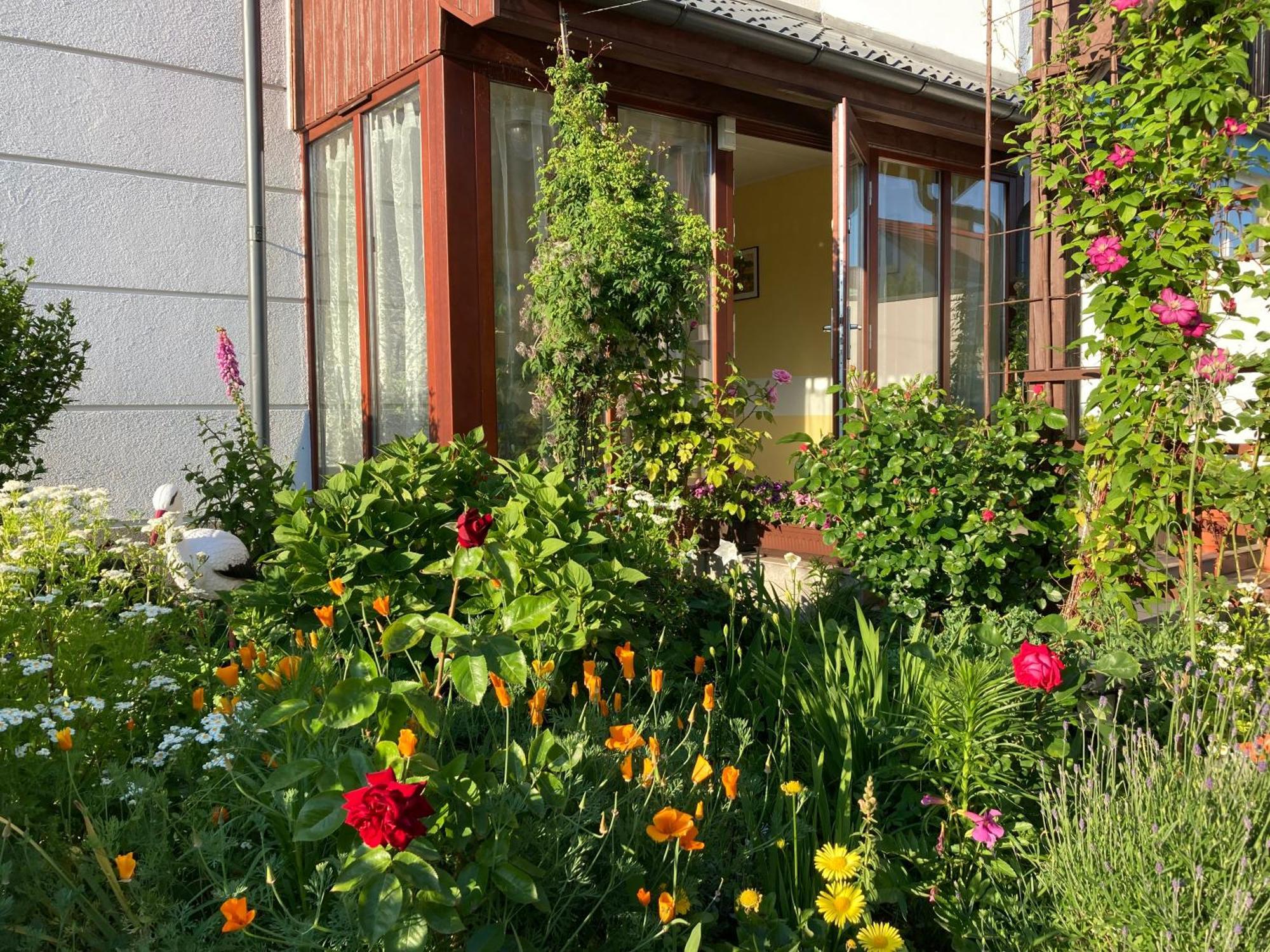 Casa Blanca Apartman Jastarnia Kültér fotó